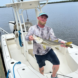 Snook hooked on Bokeelia fishing!